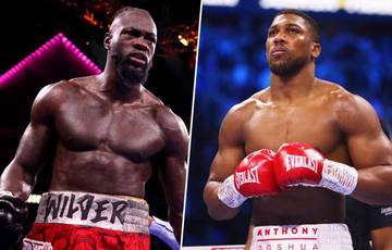 Hearn suggested to Wilder's promoter that Wilder should fight Joshua in August