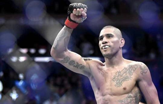 Pereira on fighting Hill at UFC 300: "I'm confident he'll be 100 percent ready"