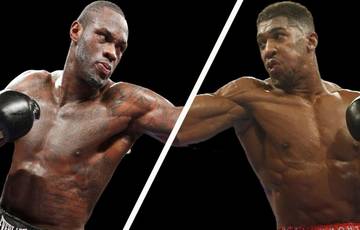Joshua vs Wilder fight will be successful for both of them: Helenius' opinion