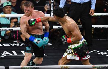Alvarez - Munguia: the best moments of the fight