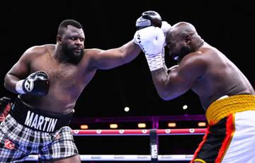 Bakole swallowed a wasp during his fight with Takam