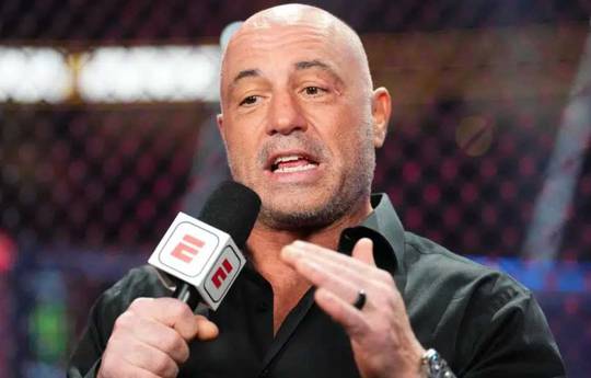 Rogan calls for rule changes in MMA