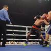 Results and photos of the undercard bouts in Brovary 209