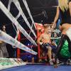 Results and photos of the undercard bouts in Brovary 88