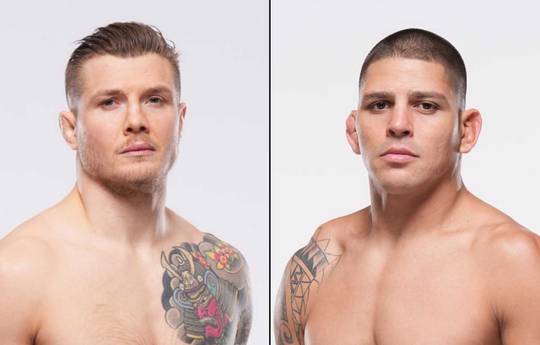 UFC 323 - Wettquoten, Prognose: Vettori vs Ferreira