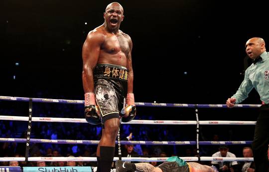 Whyte: I offered Wilder a good money for a fight