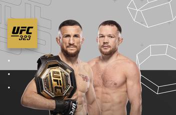 UFC 323 - Wettquoten, Prognose: Dvalishvili vs Yan