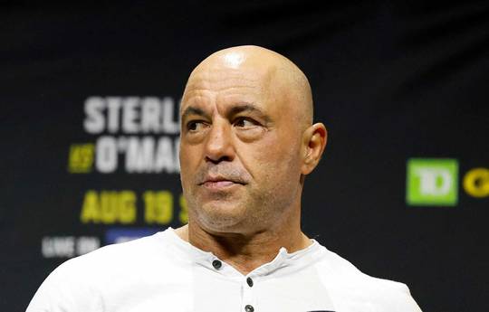 Rogan: "Ich habe keine Ahnung, wie O'Malley Dvalishvili in Schach halten will."