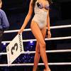 Ring Card Girls 207
