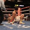 Munguia defeats Rosado in war 1