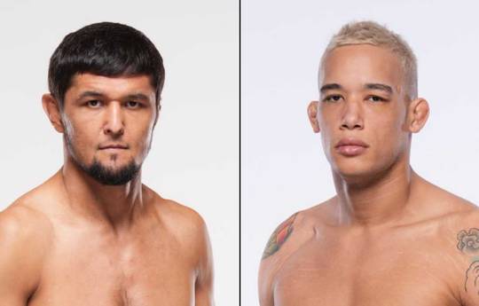 UFC 319 - Betting Odds, Prediction: Battle vs Ruziboev