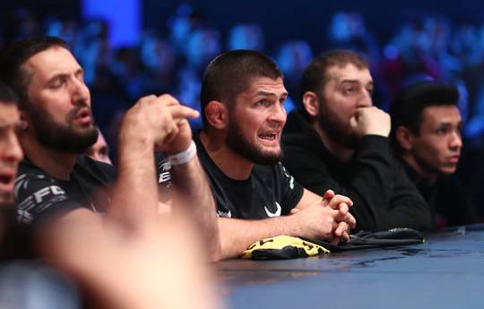 Khabib congratulated Djokovic on his victory over the Russian