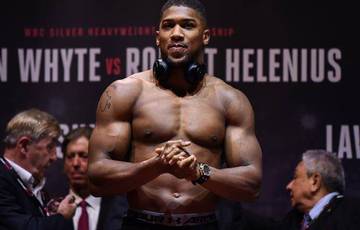 Joshua: I am 95% sure that the fight with Wilder will take place this year