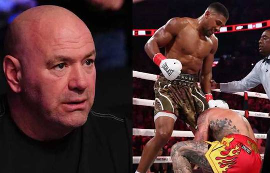 Вайт присоромив усіх, хто причетний до організації бою Джошуа - Пол