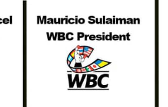 WBC, WBO und IBF: "Boxer aus Russland und Weißrussland werden nicht an Meisterschaftskämpfen teilnehmen"