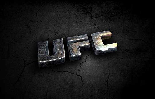 Во Франции перенесли легализацию ММА. Дебют UFC отменяется