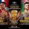 WBSS: Inoue - Payano, Relikh - Troyanovsky. Where to watch live