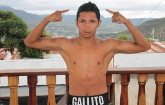 Byron Rojas vs Robin Ellis - Date, Start time, Fight Card, Location