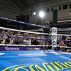 Lomachenko and Campbell held an open training (photos + video) 6