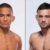 UFC Fight Night 261 - Betting Odds, Prediction: Rocha vs Nicoll