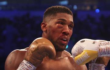 Froch: Joshua might quit boxing soon