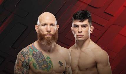 UFC Fight Night 269: смотреть онлайн, ссылки на трансляцию