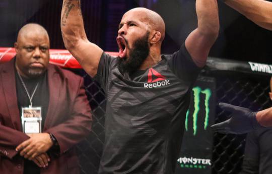 Джонсон – Борг, Нуньес – Шевченко на UFC 215