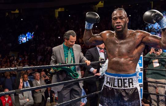 Уайлдер готов сразиться с Леснаром в UFC за «правильные деньги»