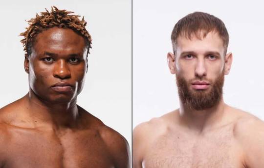 UFC 324 - Wettquoten, Vorhersage: Abega Gautier vs Pulyaev