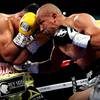 Roman stops Salido in nine