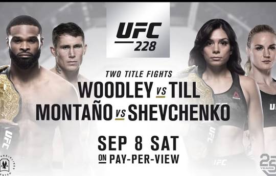 Файткард турнира UFC 228