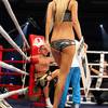 Ring Card Girls 209