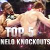 Top 5 Canelo Knockouts