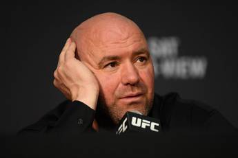 Dana White bestätigt: Emelianenko wird in UFC 5 zu sehen sein