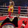 Adonis Stevenson 3