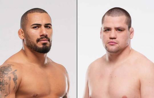 UFC Fight Night 261 - Wettquoten, Vorhersage: Petrino gegen Petersen