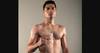 Carlos Lebron vs Anel Dudo - Date, Start time, Fight Card, Location