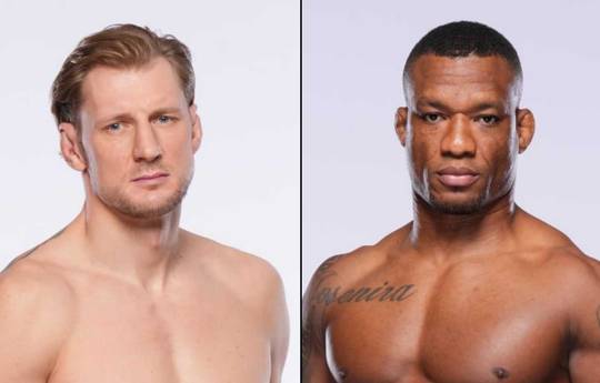 UFC 321 - Wettquoten, Prognose: Volkov gegen Almeida