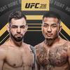 UFC 316: Silva vs Van - Date, Start time, Fight Card, Location