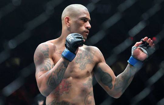 Rogan assessed Pereira's chances at heavyweight