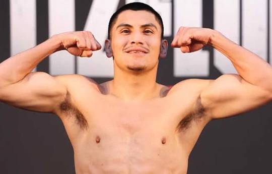 Vergil Ortiz Jr. vs Erickson Lubin - Betting Odds, Prediction