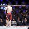 Nurmagomedov's triumph over Barbosa in photos 12