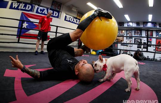 Cotto getting ready for the farewell duel (photo)