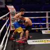 Chebotar won another victory in the pro ring 6