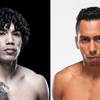 UFC Fight Night - Betting Odds, Prediction: Rodriguez vs Borjas