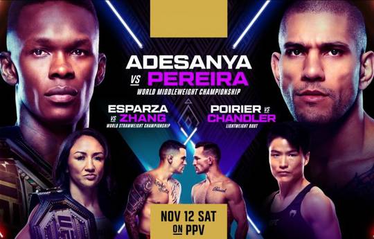 UFC 281. Adesanya vs. Pereira: Vollständige Turnierkarte
