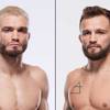 UFC Fight Night 246: Sidey vs Armfield - Date, Start time, Fight Card, Location