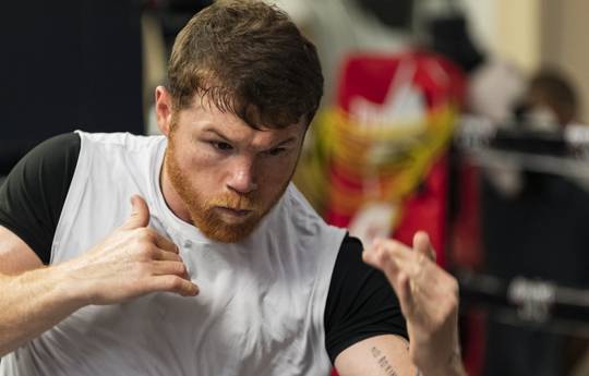 Canelo plans four fights next year