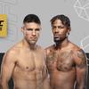 UFC 316 - Betting Odds, Prediction: Luque vs Holland