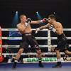 Results and photos of the undercard bouts in Brovary 153